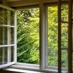 Wood * Dornbirn