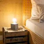 Apartment Wood