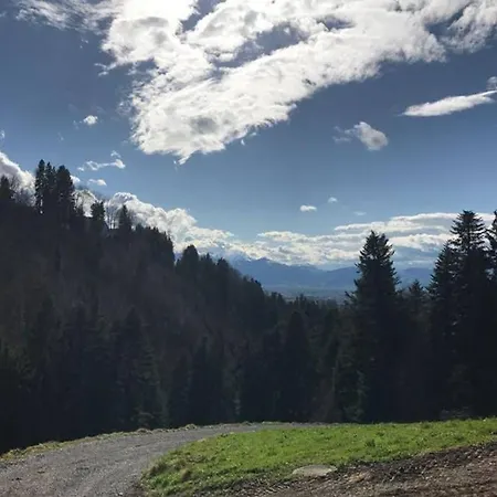 Wood * Dornbirn