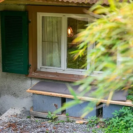 Wood Daire Dornbirn